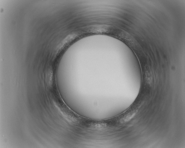 X0000060780304200511241826