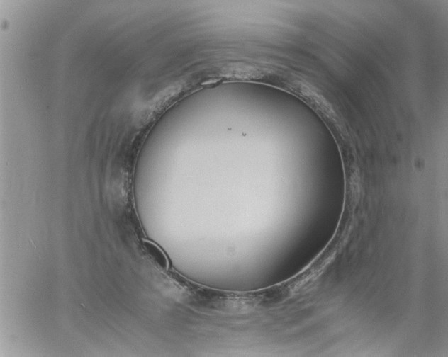 X0000060780305200511241826