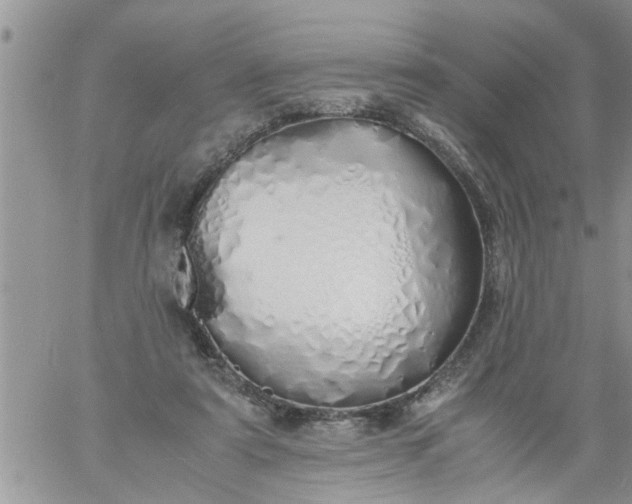 X0000060780307200511241826