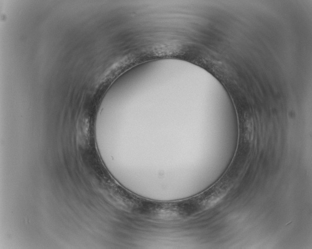 X0000060780308200511241826