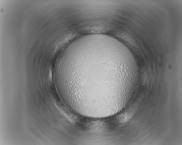 X0000060780310200511241826