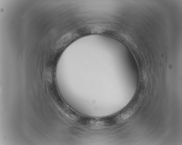 X0000060780311200511241826