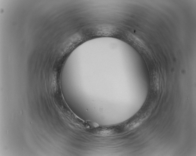 X0000060780312200511241826