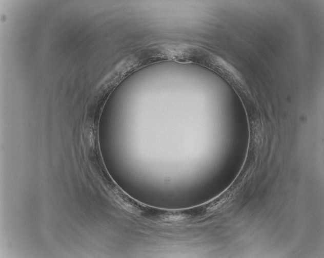 X0000060780313200511241826