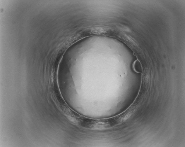 X0000060780315200511241826