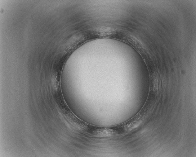 X0000060780316200511241826