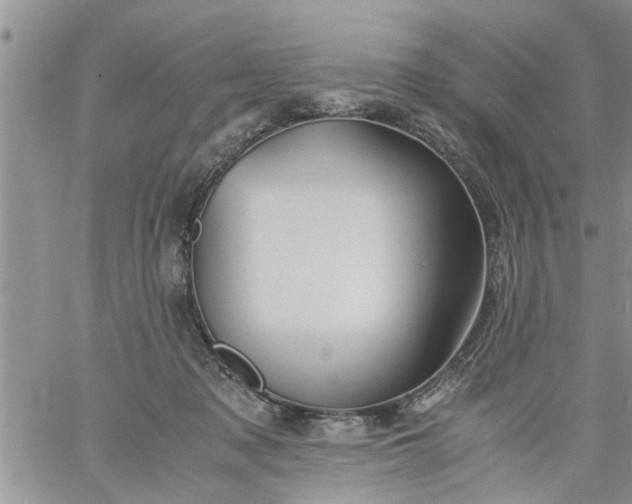 X0000060780317200511241826