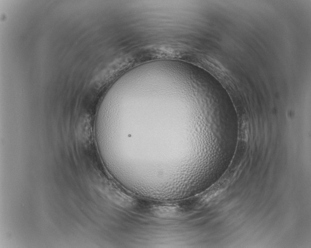 X0000060780318200511241826