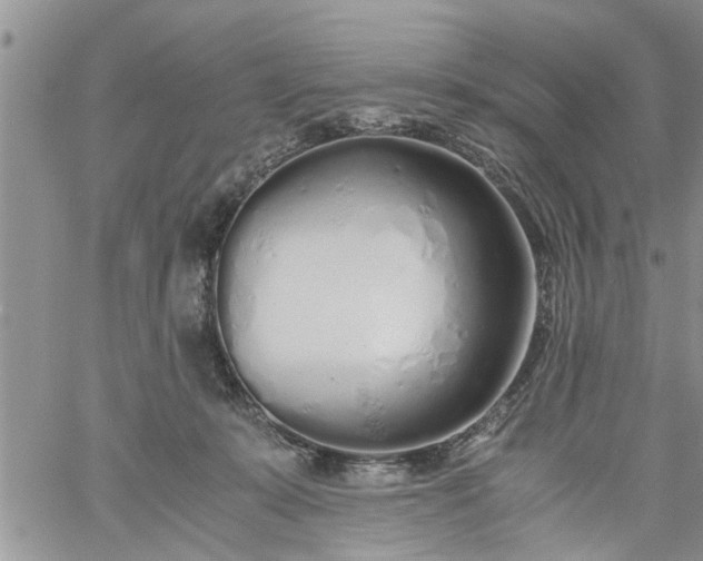 X0000060780319200511241826