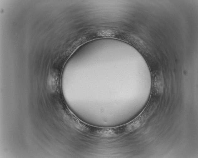 X0000060780322200511241826