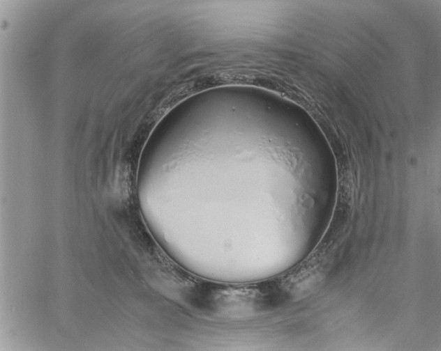 X0000060780323200511241826