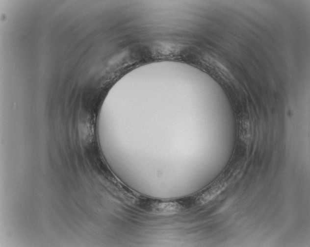 X0000060780324200511241826