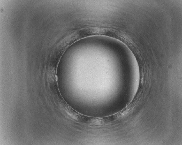 X0000060780325200511241826