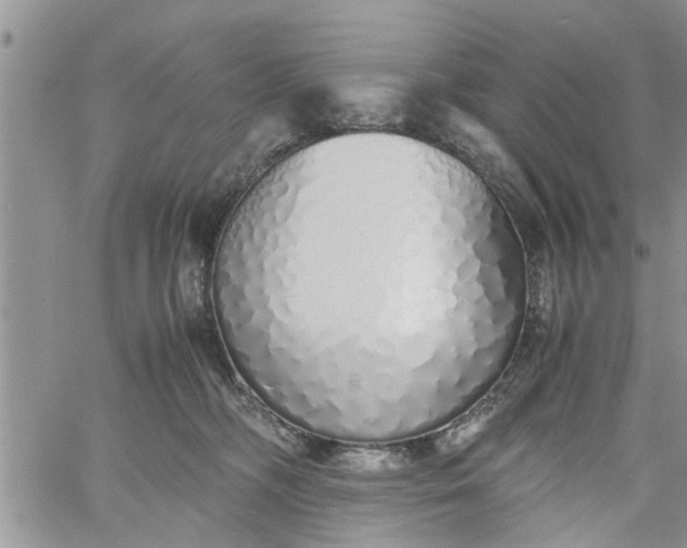 X0000060780326200511241826