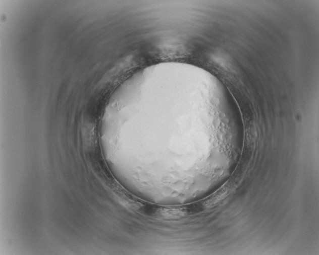 X0000060780327200511241826