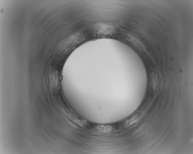 X0000060780328200511241826