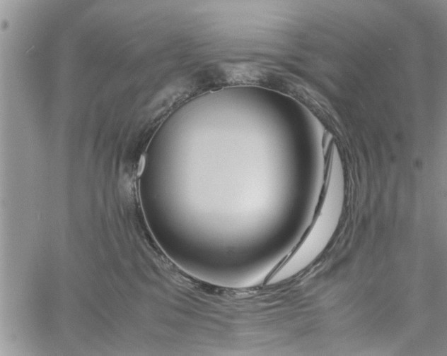 X0000060780329200511241826