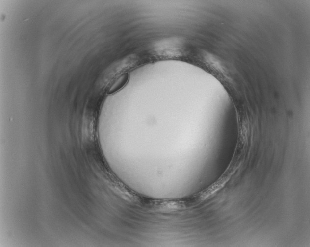 X0000060780330200511241826