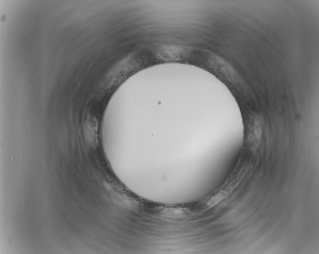 X0000060780332200511241826