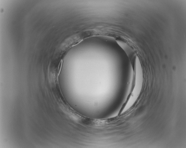 X0000060780333200511241826