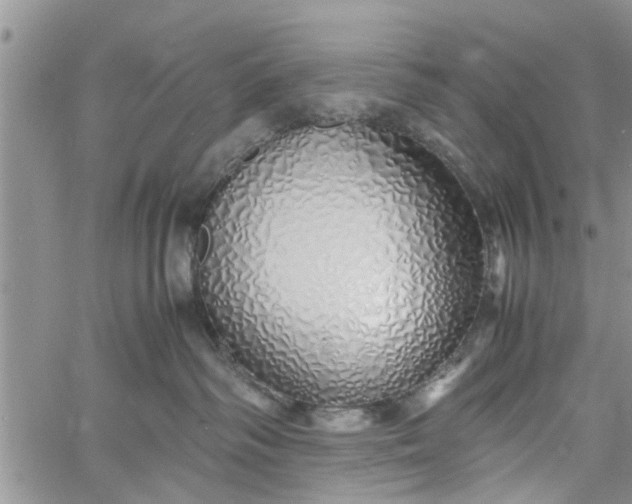 X0000060780334200511241826