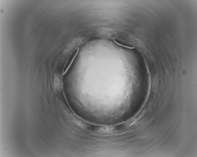 X0000060780335200511241826