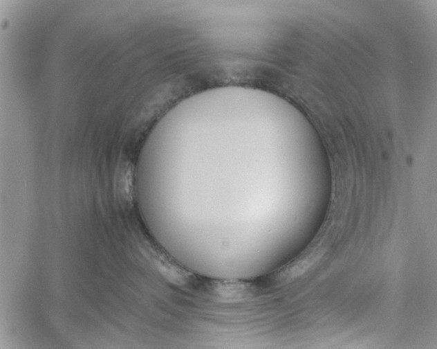 X0000060780336200511241826