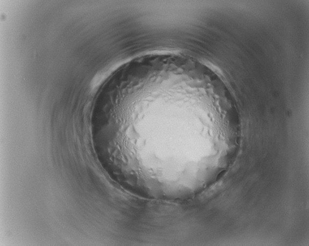 X0000060780337200511241825