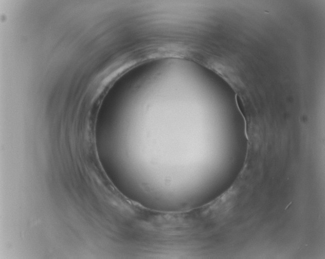 X0000060780338200511241825