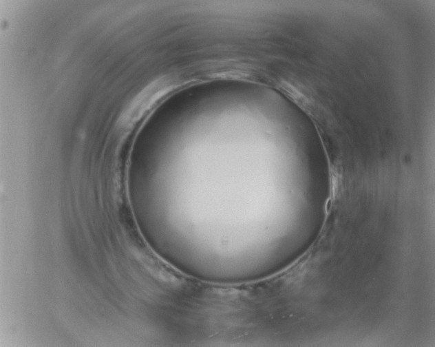 X0000060780339200511241825