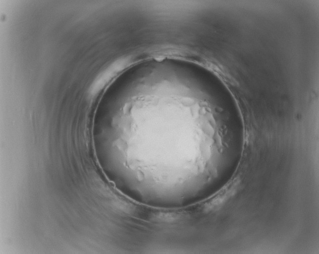 X0000060780341200511241825