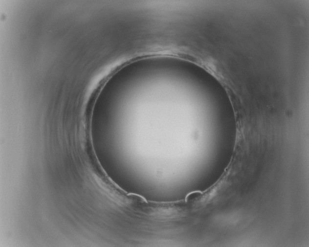 X0000060780342200511241825