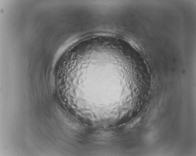 X0000060780343200511241825