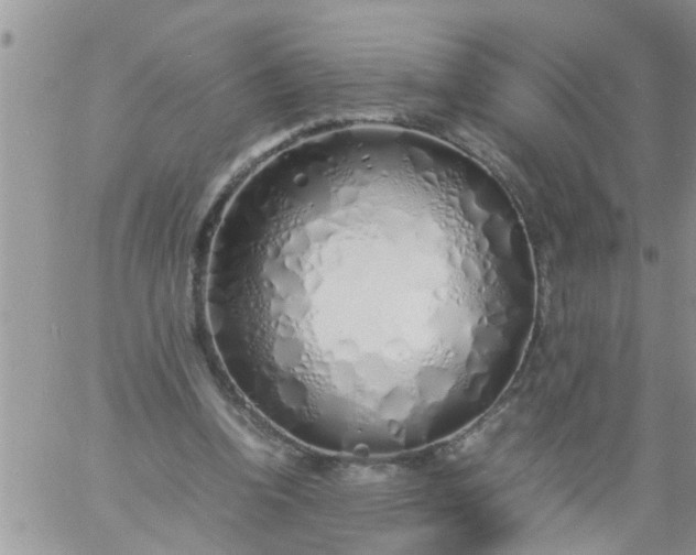 X0000060780346200511241825