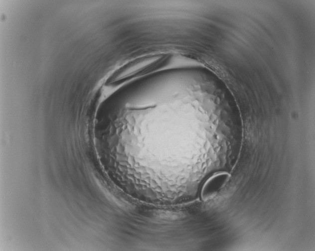 X0000060780347200511241825