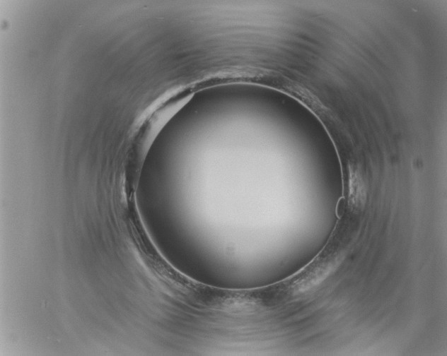 X0000060780348200511241825