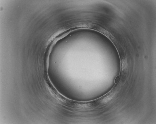 X0000060780349200511241825