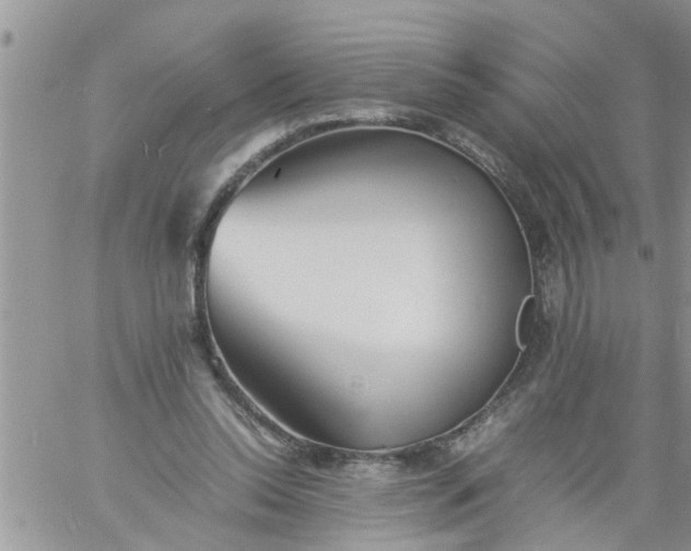 X0000060780350200511241825