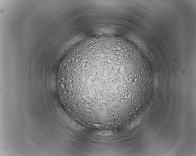 X0000060780353200511241825