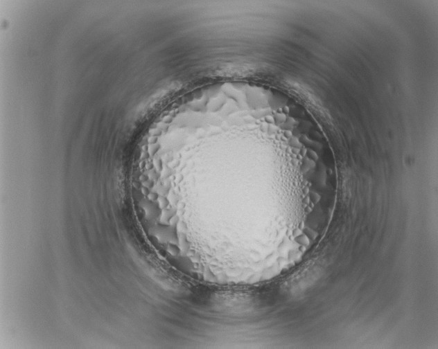 X0000060780354200511241825