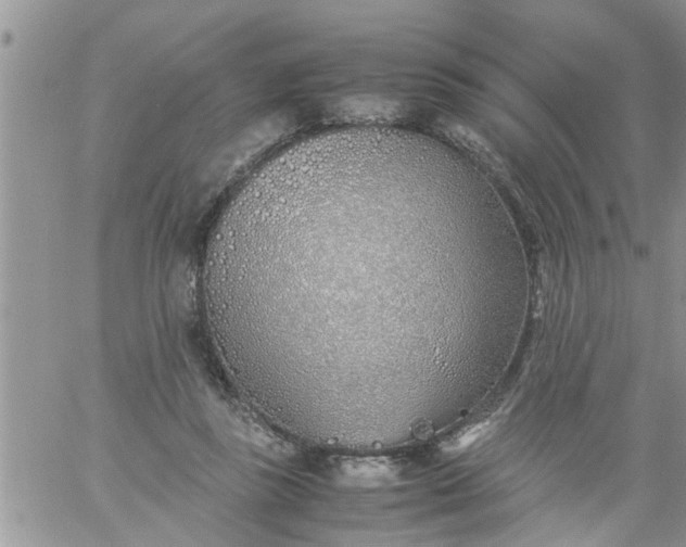 X0000060780355200511241825