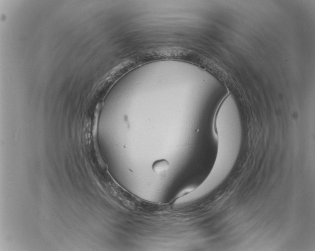 X0000060780356200511241825