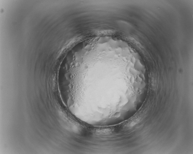 X0000060780357200511241825