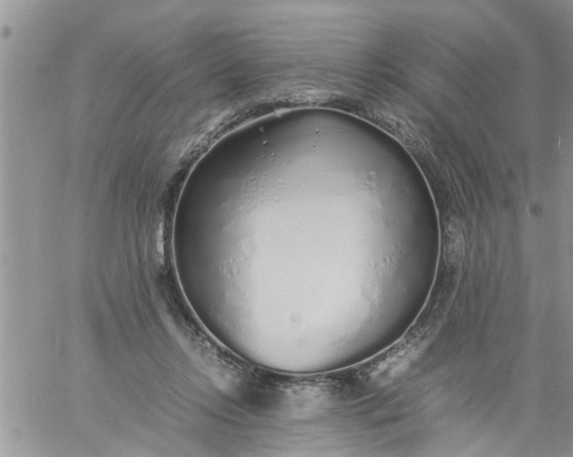 X0000060780358200511241825