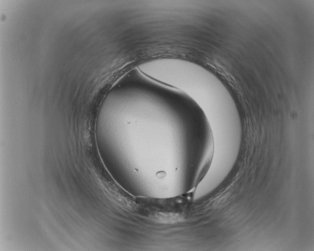 X0000060780359200511241825