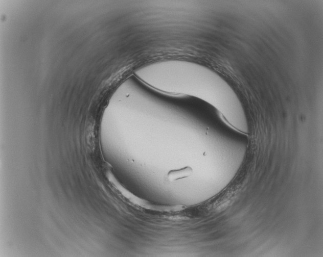 X0000060780360200511241825