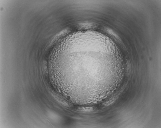 X0000060780361200511241825