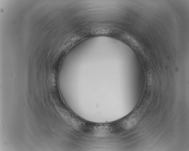 X0000060780362200511241825