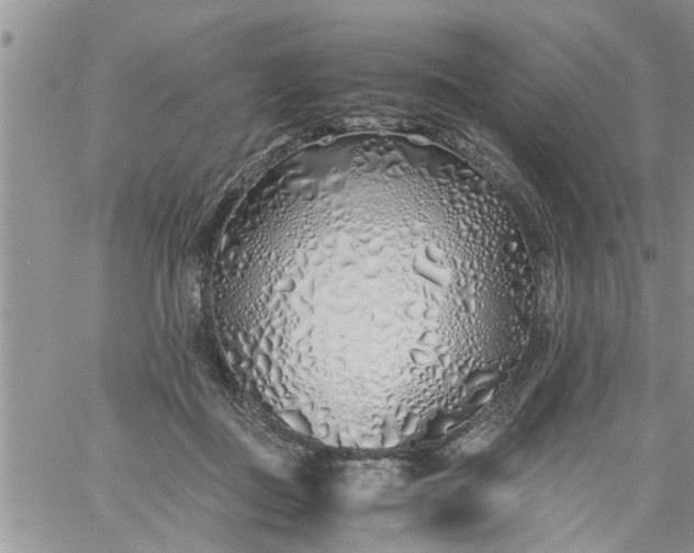 X0000060780363200511241825