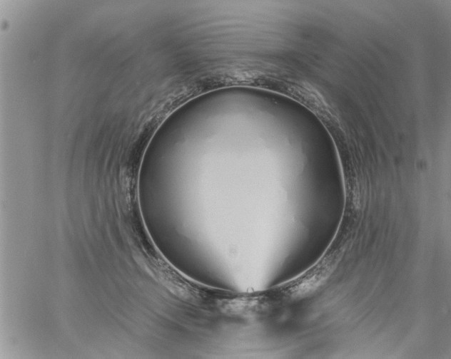 X0000060780366200511241825